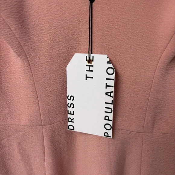 NWT Dress The Population Sandra Plunge Crepe Trumpet Gown‎ Blush XS - Picture 3 of 6